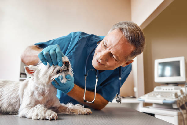 Best Emergency Gum Treatment in Barclay, NJ